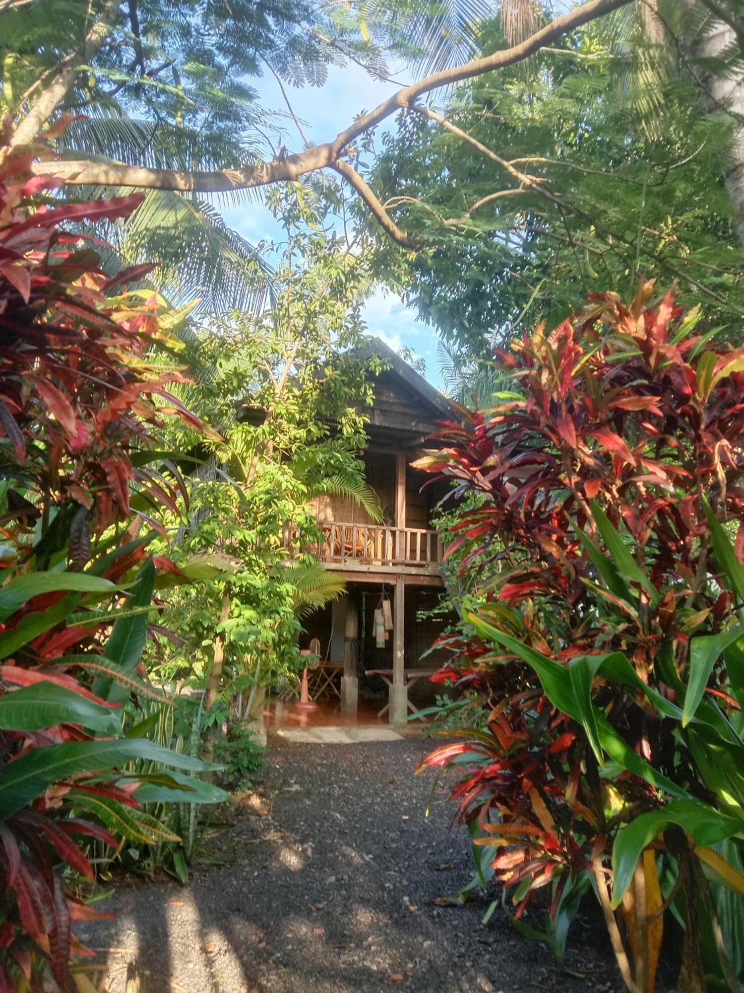 O'Hamok Family Homestay พระตะบอง ภายนอก รูปภาพ